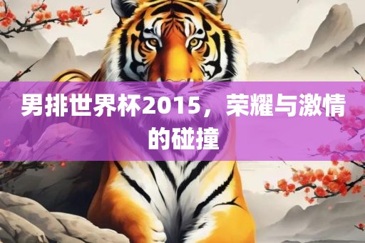 男排世界杯2015，荣耀与激情的碰撞