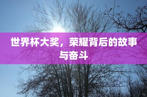 世界杯大奖，荣耀背后的故事与奋斗