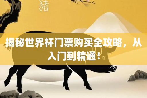 揭秘世界杯门票购买全攻略，从入门到精通！