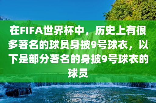 在FIFA世界杯中，历史上有很多著名的球员身披9号球衣，以下是部分著名的身披9号球衣的球员眉山市正发家政服务有限公司