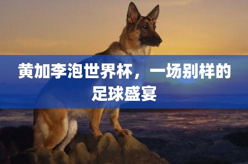 黄加李泡世界杯，一场别样的足球盛宴