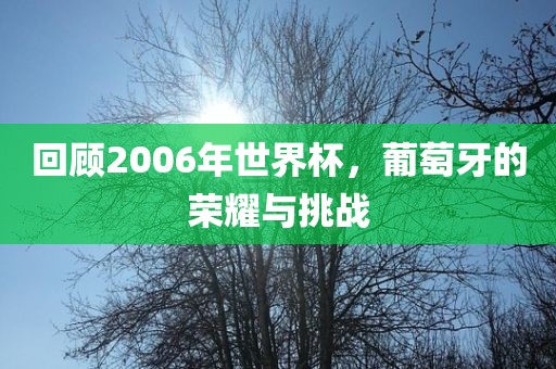 回顾2006年世界杯，葡萄牙的荣耀与挑战
