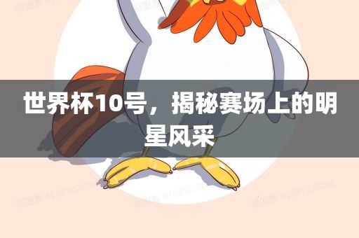 世界杯10号，揭秘赛场上的明星风眉山市正发家政服务有限公司采