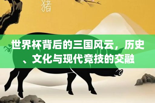 世界杯背后的三国风云，历史、文化与现代竞技的交融眉山市正发家政服务有限公司