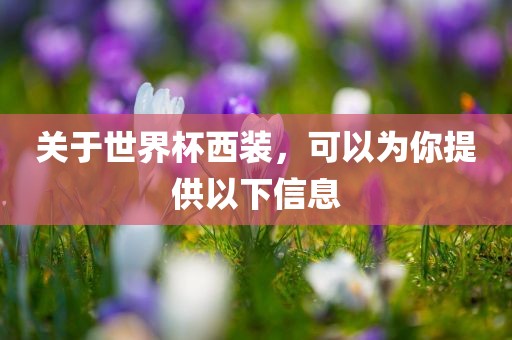关于世界杯西装，可以为你提供以下信息