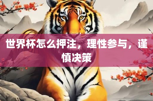 世界杯怎么押注，理性参与，谨慎决策