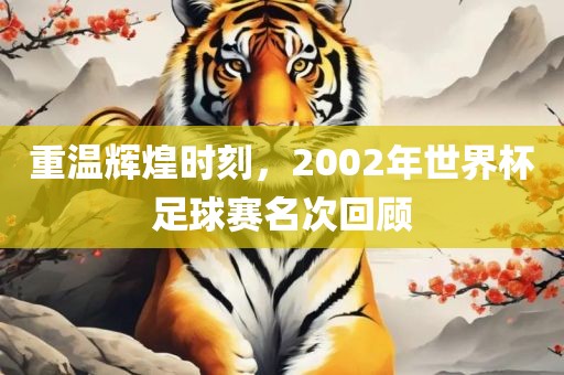 重温辉煌时刻，2002年世界杯足球赛名次回顾眉山市正发家政服务有限公司