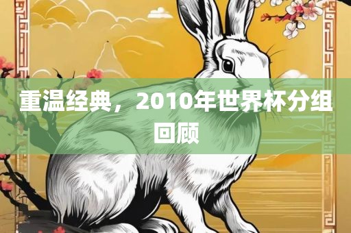 重温经典，2010年世界杯分组回顾