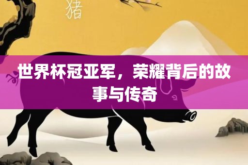 世界杯冠亚军，荣耀背后的故事与传奇