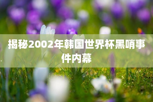 揭秘2002年韩国世界杯黑哨事件内幕