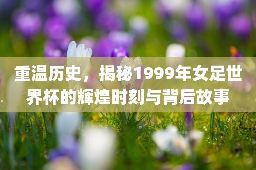 重温历史，揭秘1999年女足世界杯的辉煌时刻与背后故事