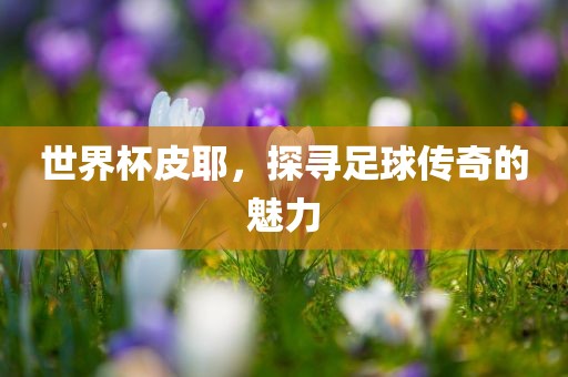 世界杯皮耶，探寻足球传奇的魅力眉山市正发家政服务有限公司