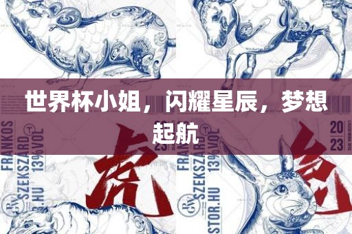 世界杯小姐，闪耀星辰，梦想起航