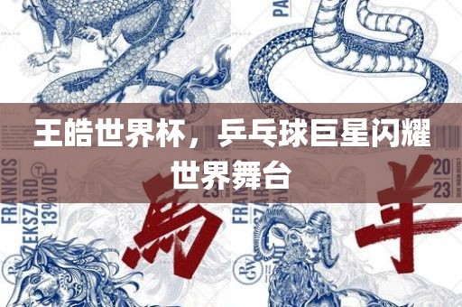 王皓世界杯，乒乓球巨星闪耀世界舞台