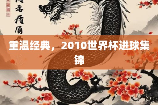 重温经典，2010世界杯进球集锦