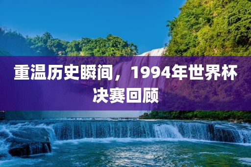 重温历史瞬间，1994年世界杯决赛回顾眉山市正发家政服务有限公司