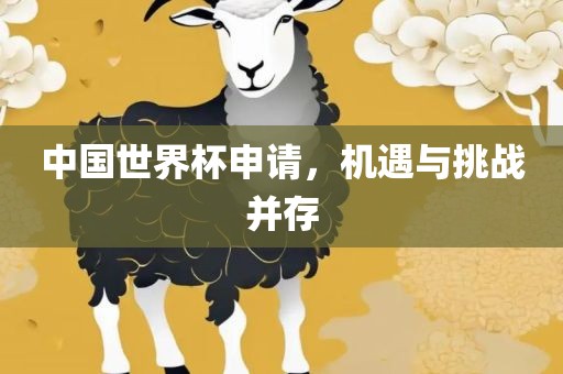 中国世界杯申请，机遇与挑战并存