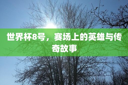 世界杯8号，赛场上的英雄与传奇故事眉山市正发家政服务有限公司