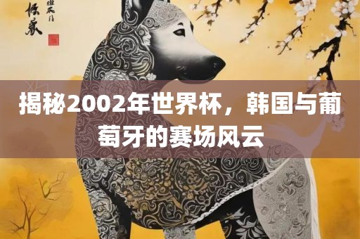 揭秘2002年世界杯，韩国与葡萄牙的赛场风云