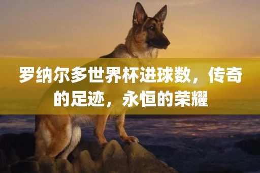 罗纳尔多世界杯进球数，传奇的足迹，永恒的荣耀