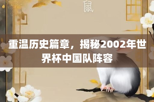 重温历史篇章，揭秘2002年世界杯中国队阵容