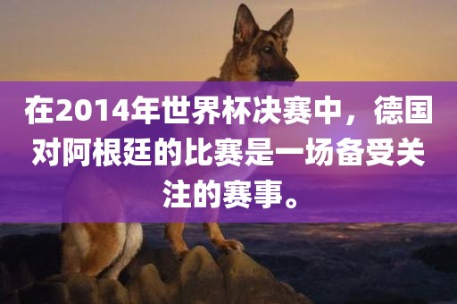 在2014年世界杯决赛中，德国对阿根廷的比赛是一场备受关注的赛事。眉山市正发家政服务有限公司
