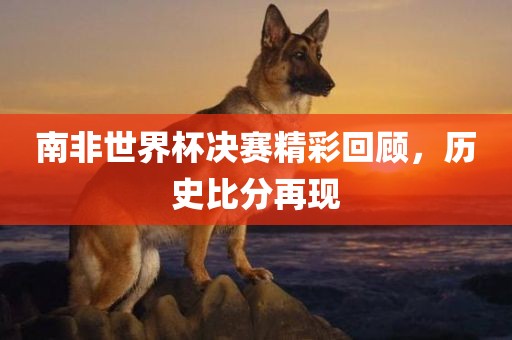 南非世界杯决赛精彩回顾，历史比分再现眉山市正发家政服务有限公司