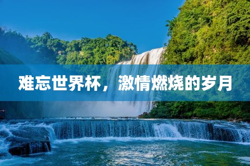难忘世界杯，激情燃烧的岁月