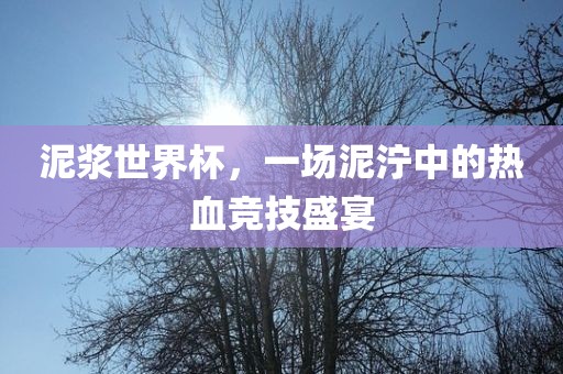 泥浆世界杯，一场泥泞中的热血竞技盛宴眉山市正发家政服务有限公司