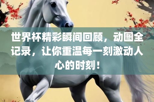世界杯精彩瞬间回顾，动图全记录，让你重温每一刻激动人心的时刻！眉山市正发家政服务有限公司