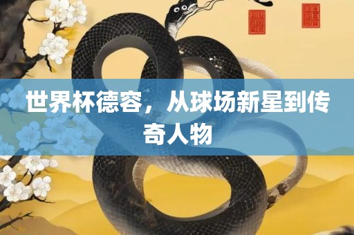 世界杯德容，从球场新星到传奇人物眉山市正发家政服务有限公司