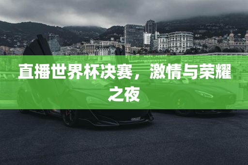 直播世界杯决赛，激情与荣耀之夜眉山市正发家政服务有限公司