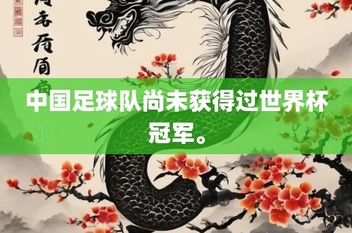 中国足球队尚未获得过世界杯冠军。