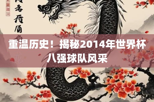 重温历史！揭秘2014年世界杯八强球队风采眉山市正发家政服务有限公司