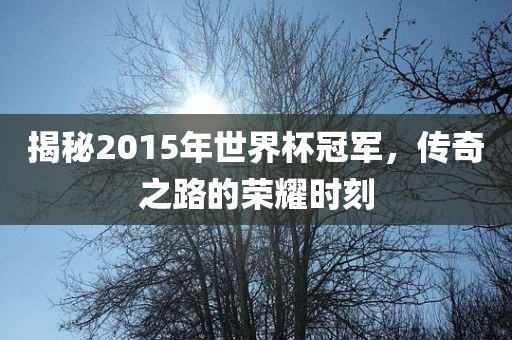 揭秘2015年世界杯冠军，传奇之路的荣耀时刻