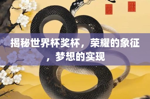 揭秘世界杯奖杯，荣耀的象征，梦想的实现