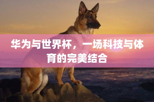 华为与世界杯，一场科技与体育的完美结合眉山市正发家政服务有限公司