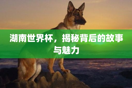 湖南世界杯，揭秘背后的故事与魅力