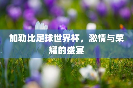 加勒比足球世界杯，激情与荣耀的盛宴眉山市正发家政服务有限公司