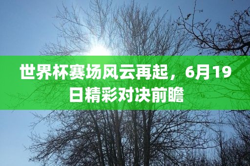 世界杯赛场风云再起，6月19日精彩对决前瞻眉山市正发家政服务有限公司