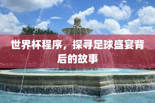 世界杯程序，探寻足球盛宴背后的故事