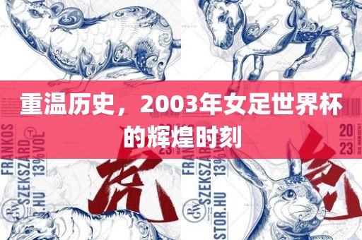 重温历史，2003年女足世界杯的辉煌时刻