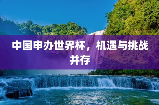 中国申办世界杯，机遇与挑战并存眉山市正发家政服务有限公司