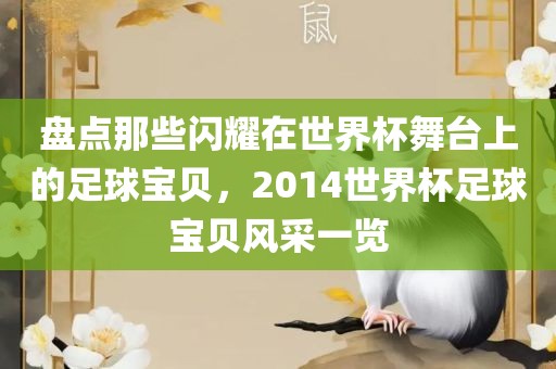 盘点那些闪耀在世界杯舞台上的足球宝贝，2014世界杯足球宝贝风采一览