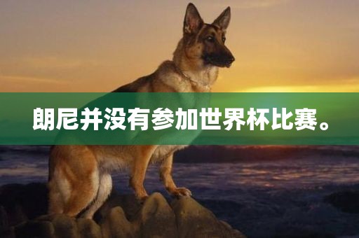 朗尼并没有参加世界杯比赛。