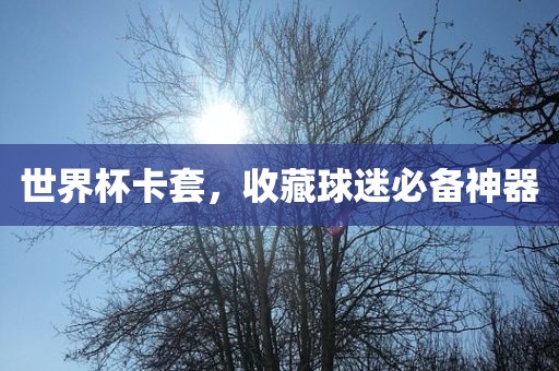 世界杯卡套，收藏球迷必备神器