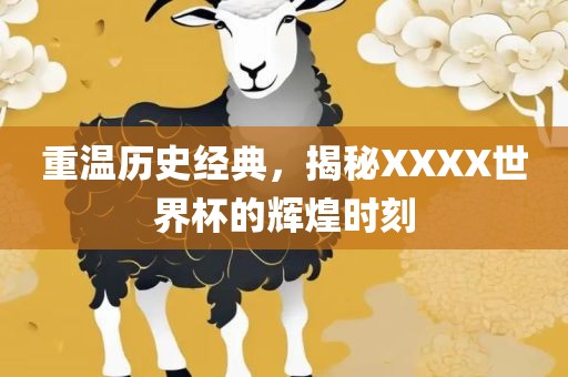 重温历史经典，揭秘XXXX世界杯的辉煌时刻