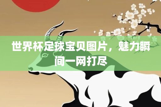 世界杯足球宝贝图片，魅力瞬间一网打尽