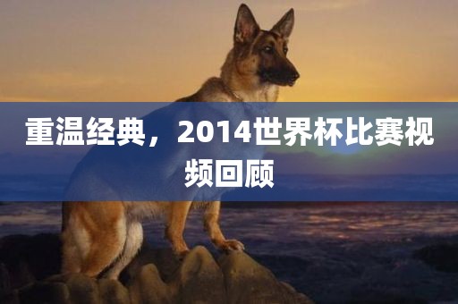 重温经典，2014世界杯比赛视频回顾眉山市正发家政服务有限公司
