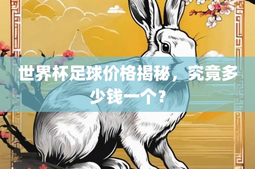 世界杯足球价格揭秘，究竟多少钱一个？